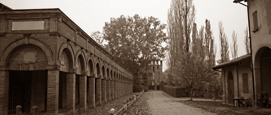 home_Cerri_6.jpg